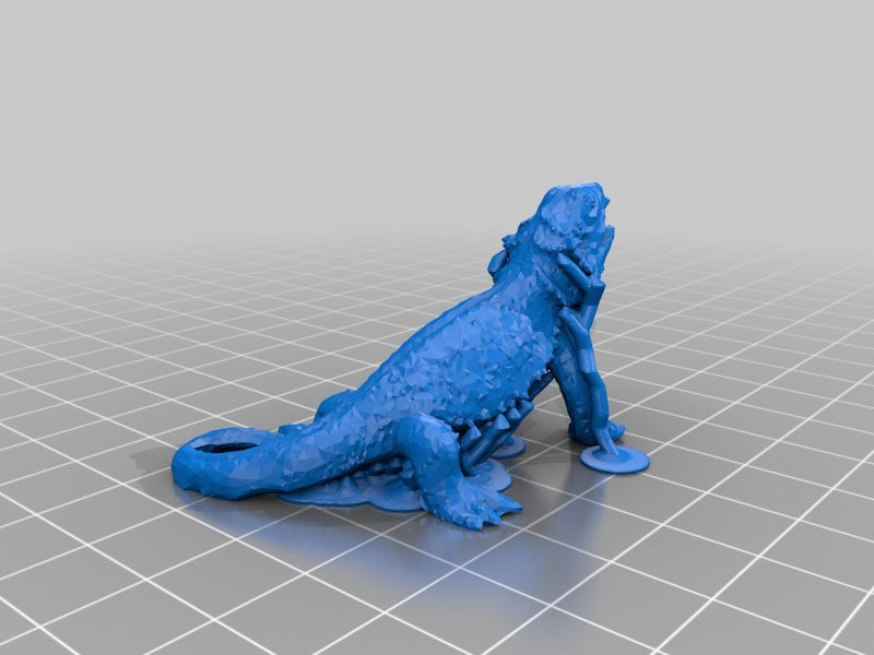 Bearded Dragon With Supports