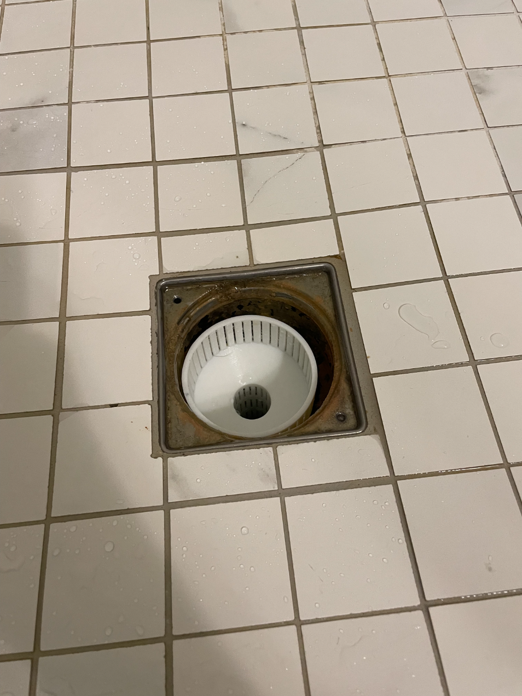 High Flow Rate Drain Catch