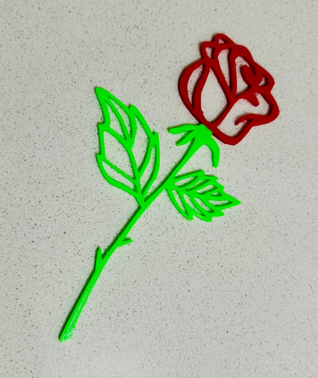 Simple multi coloured rose
