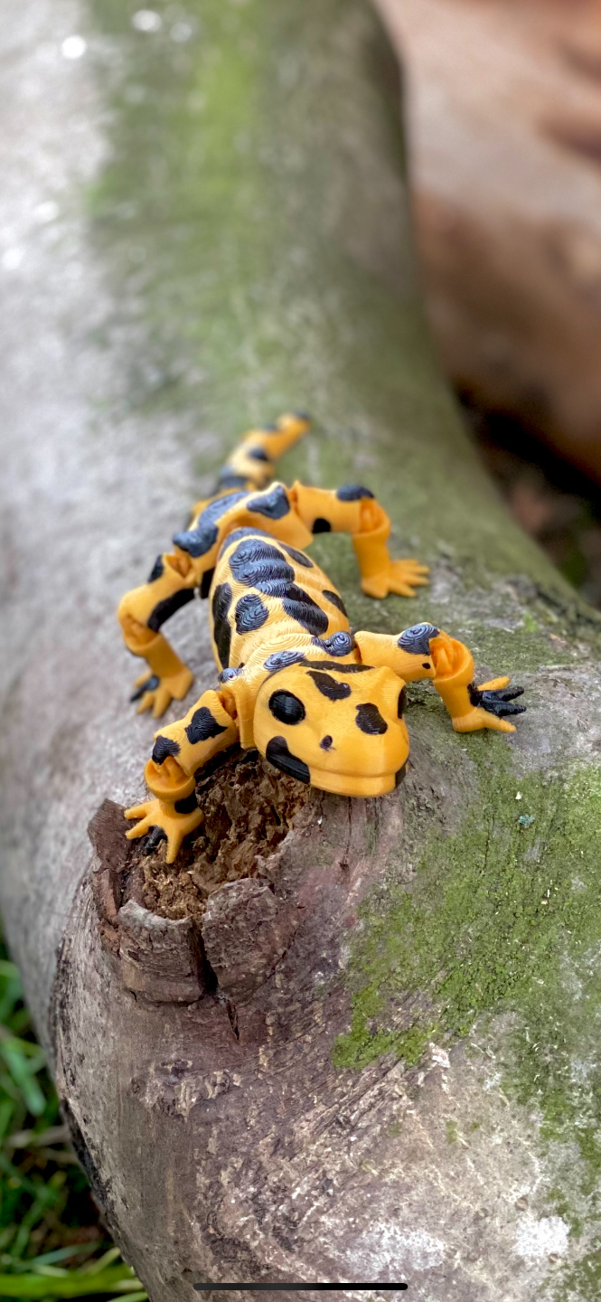 Flexi Salamander