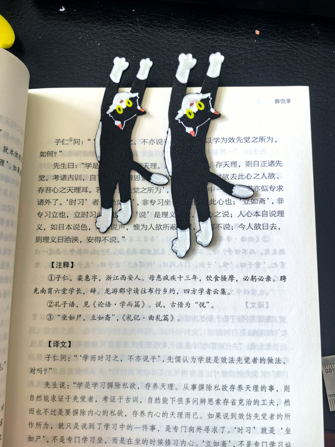 Bookmark-Cat
