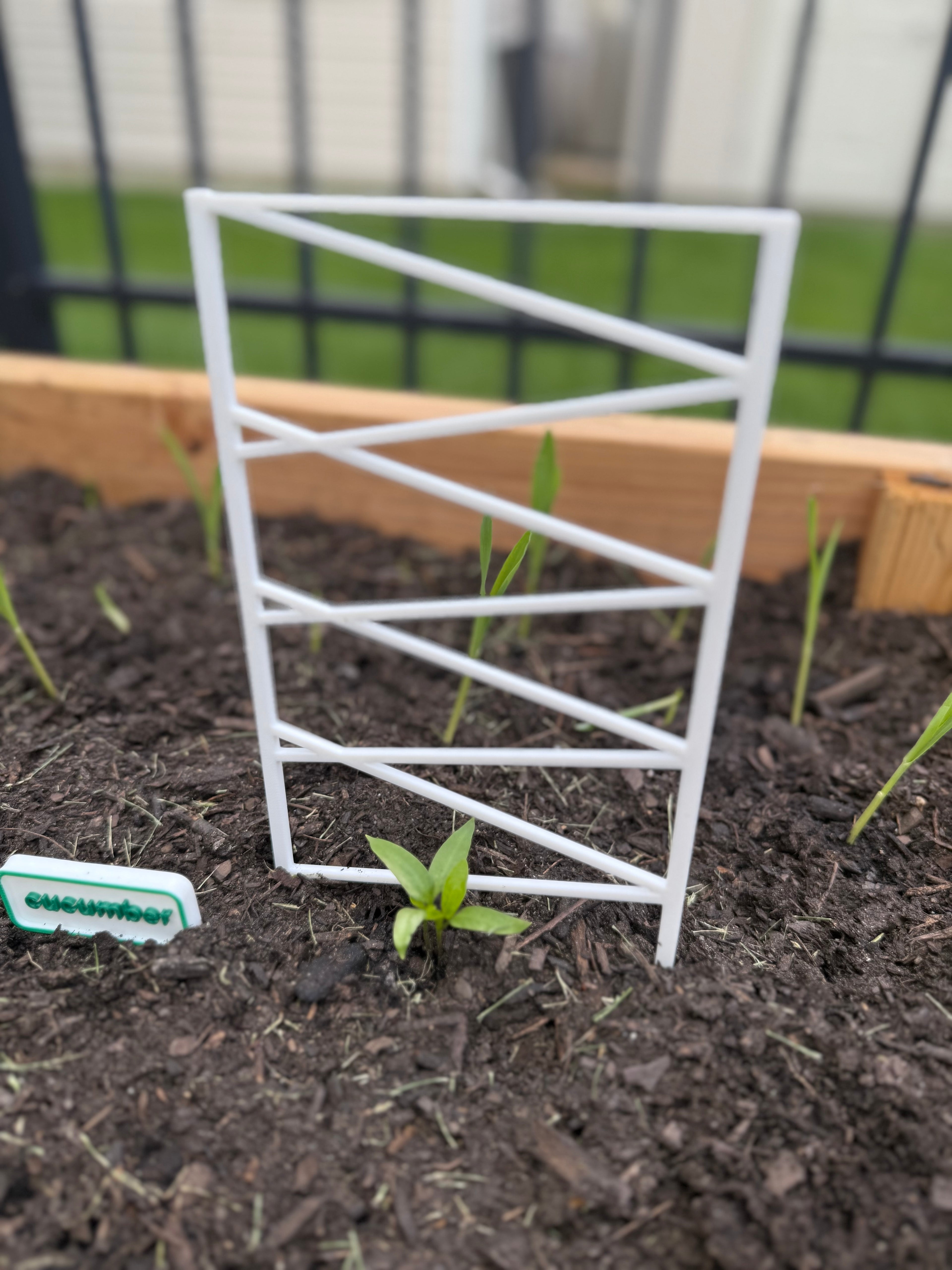 plant support fence
