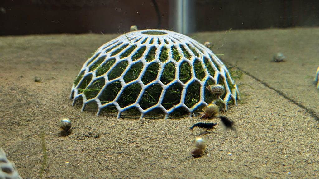 Aquarium Moss Dome Plant Holder (easier to print)