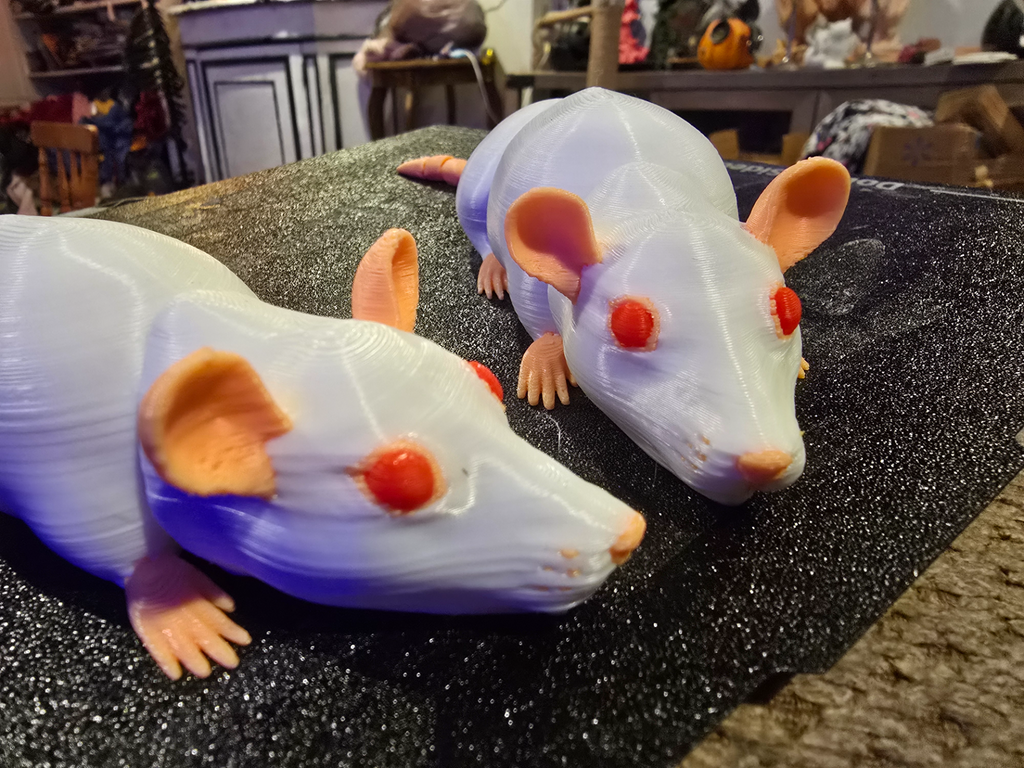 Realistic articulated rat