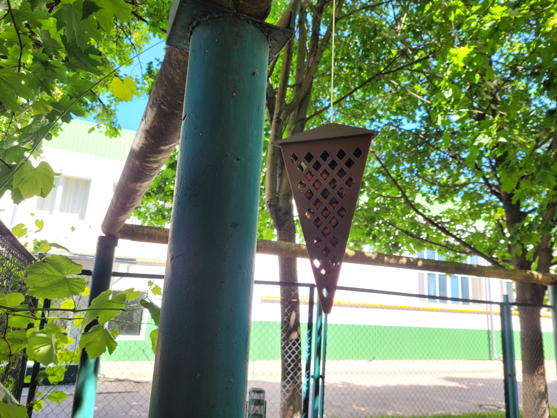 bird_feeder