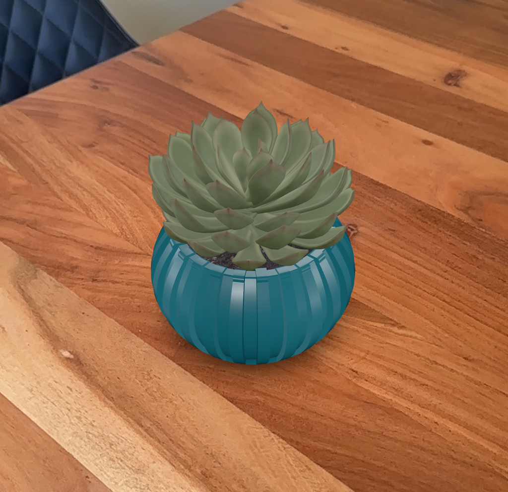 Vase / Potted Plant
