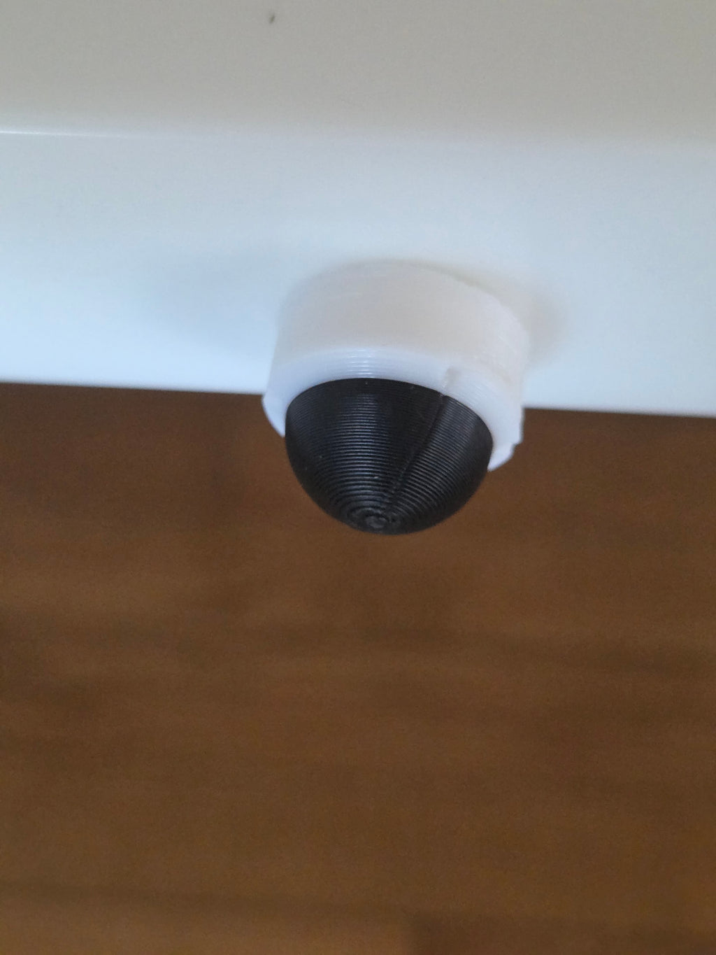 Fake Dome Camera
