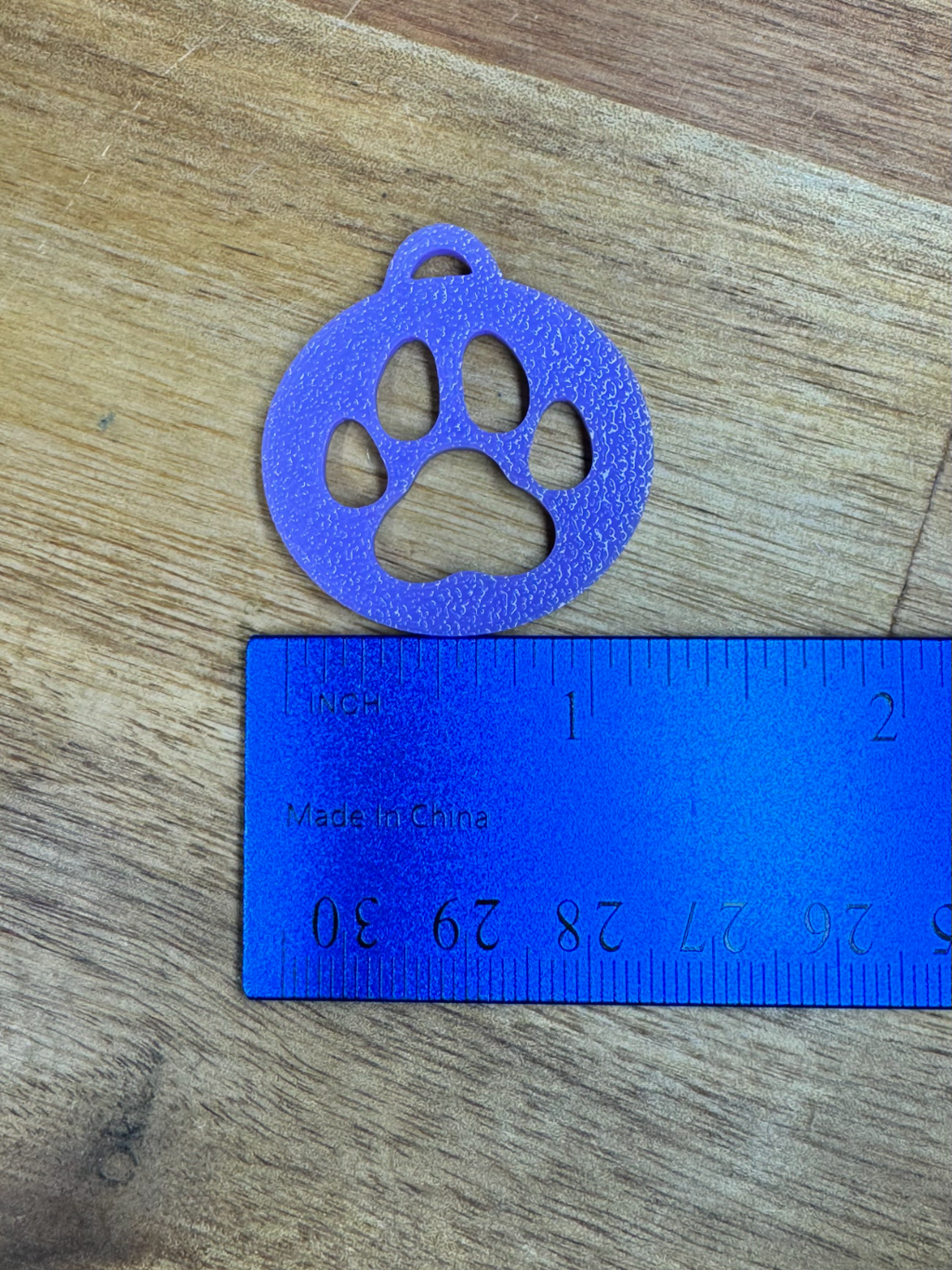 Circle with Paw Earring