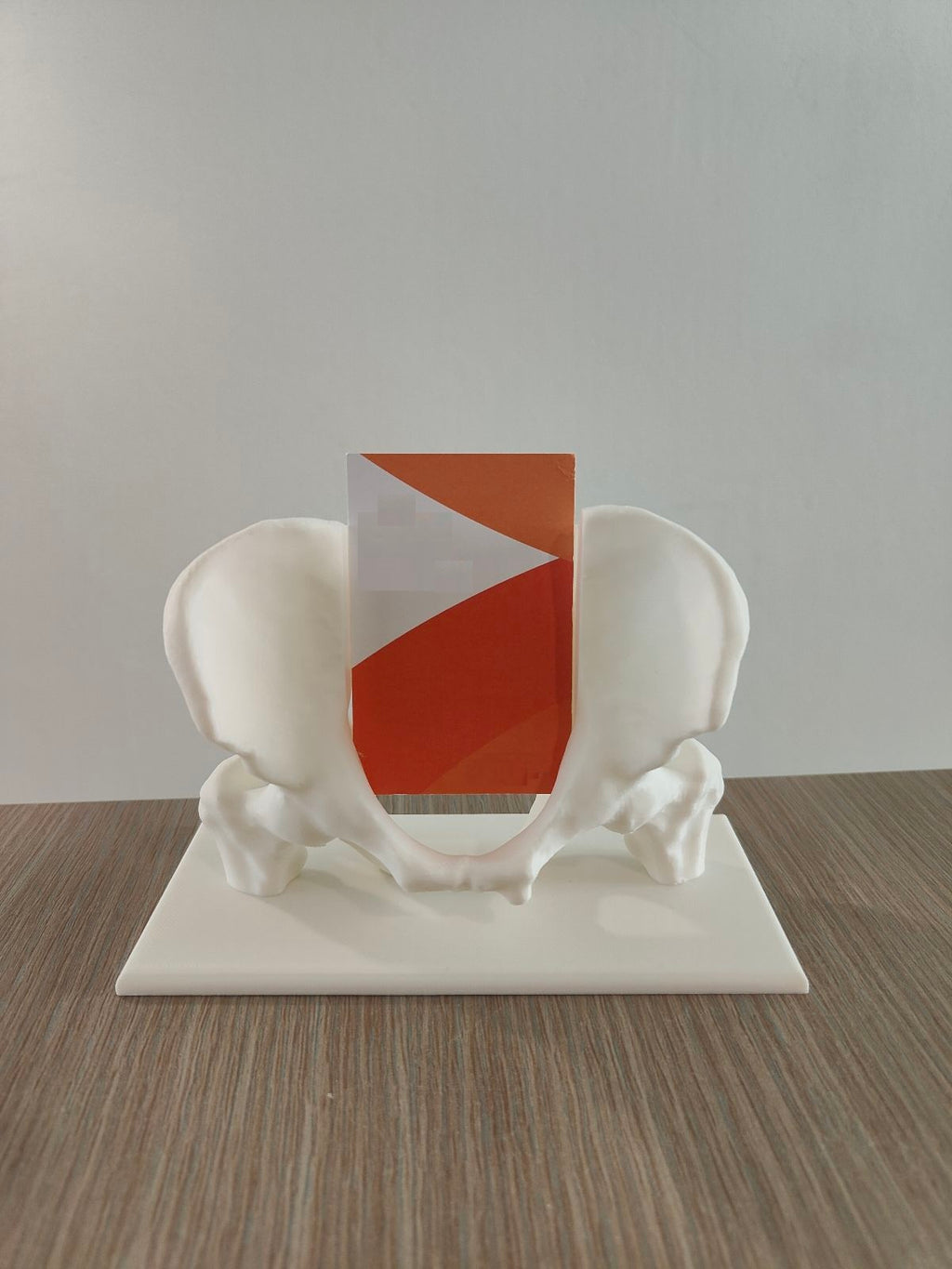 Pelvis Business Card Holder