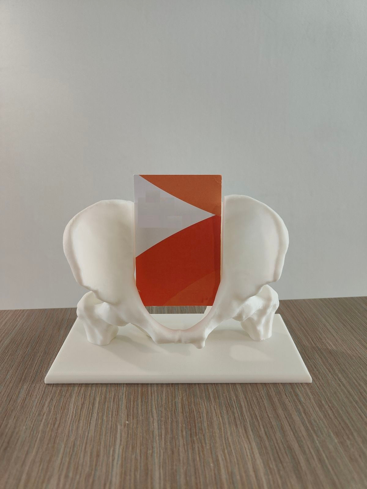 Pelvis Business Card Holder