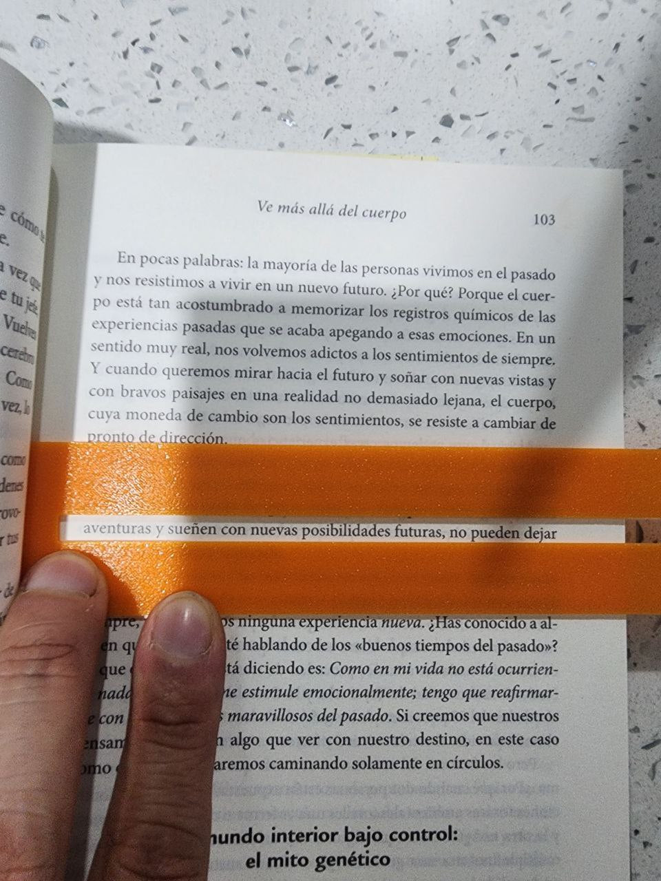 Regla Para Lectura