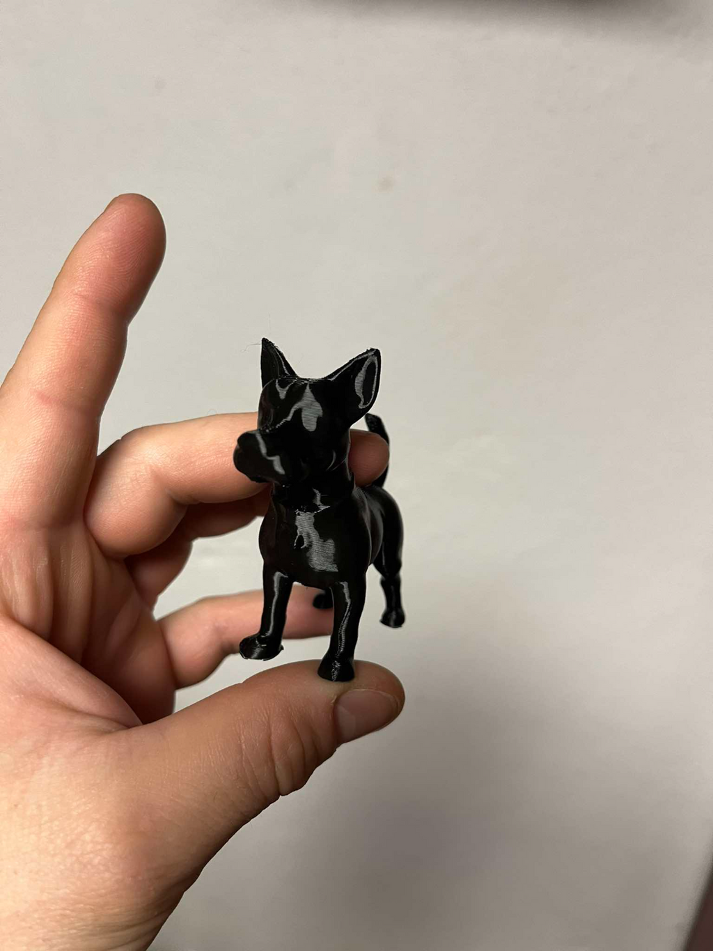 A small dog