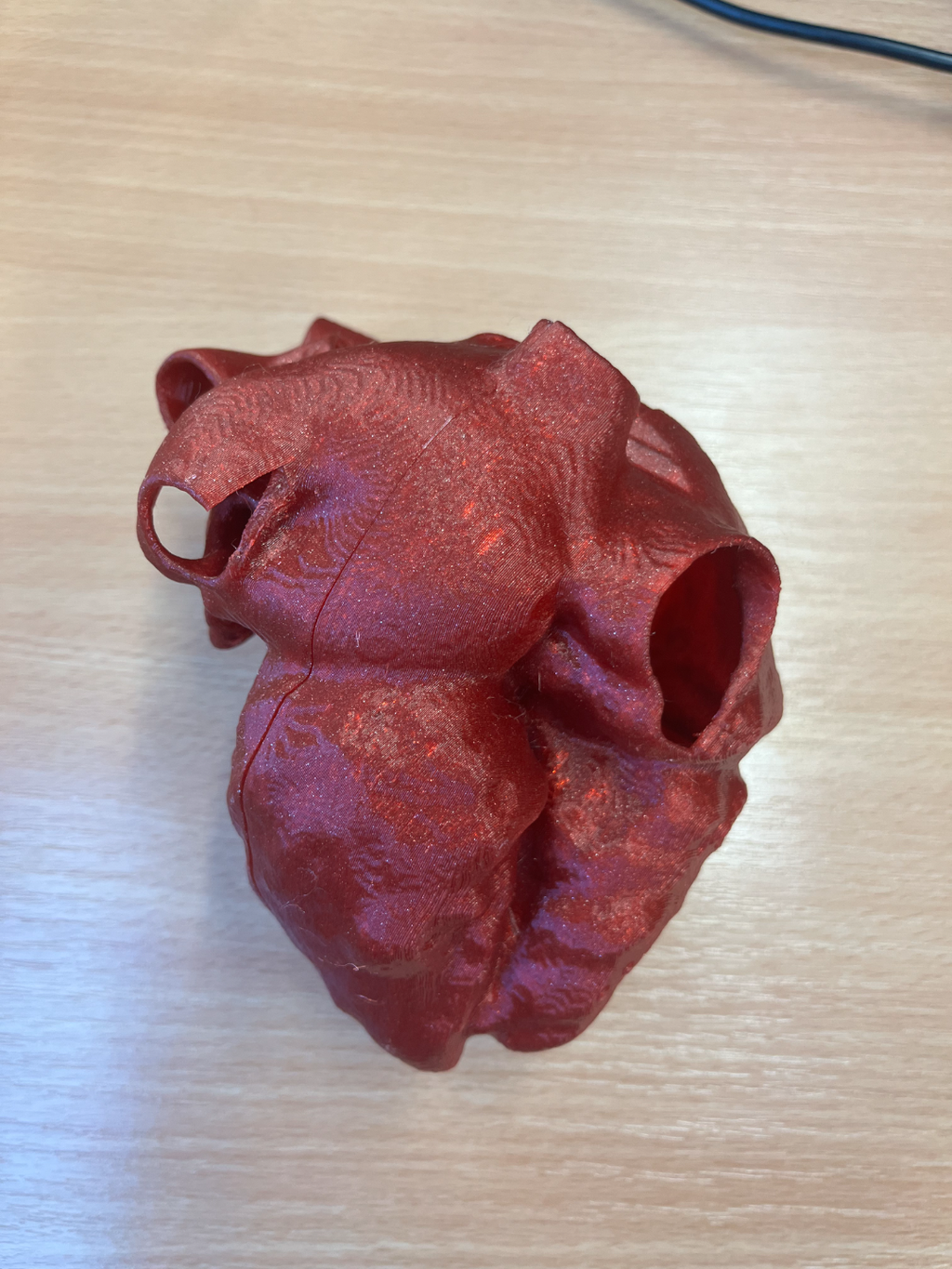 Human hearth