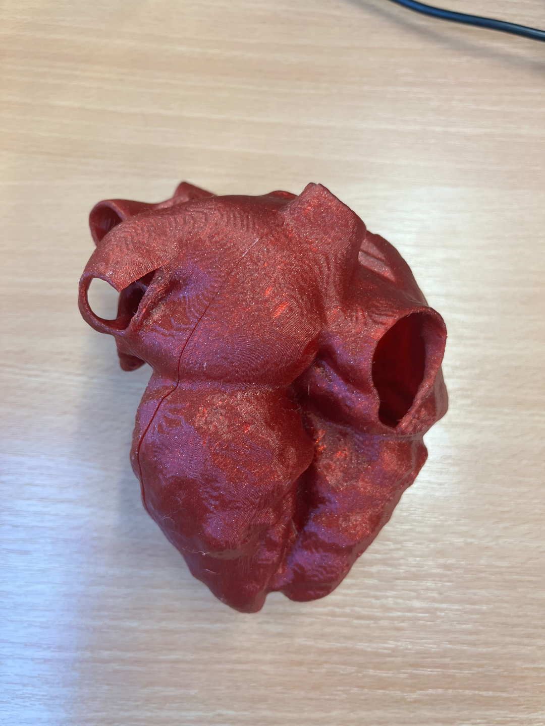 Human hearth
