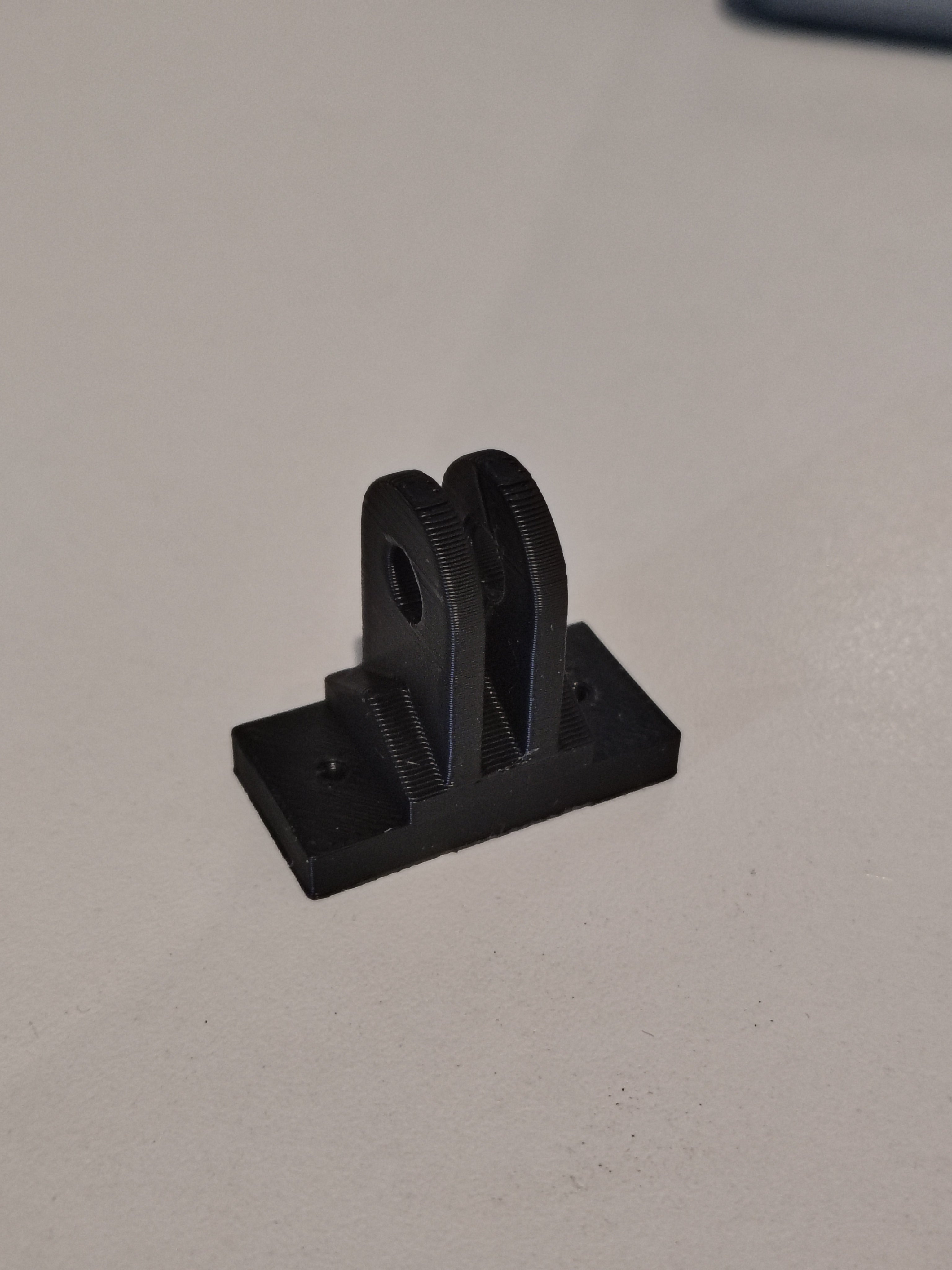 GoPro Mount