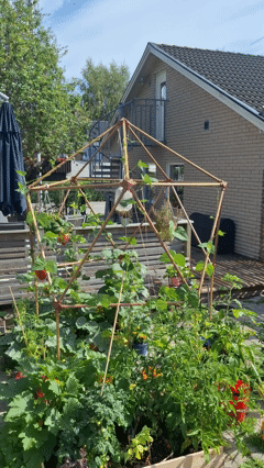 Geodesic D20 Dome