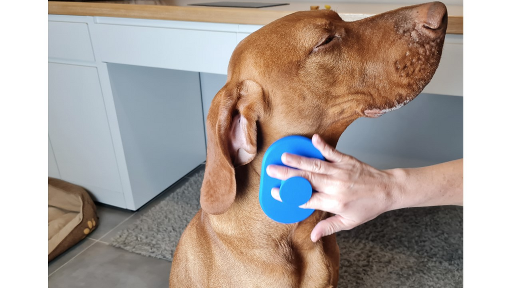 Pet grooming tool