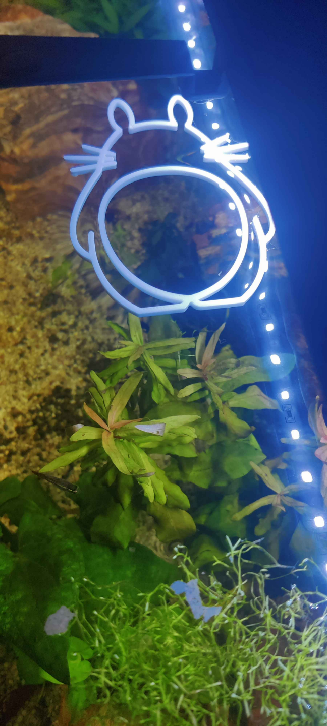 Totoro fish feeding/plant Ring