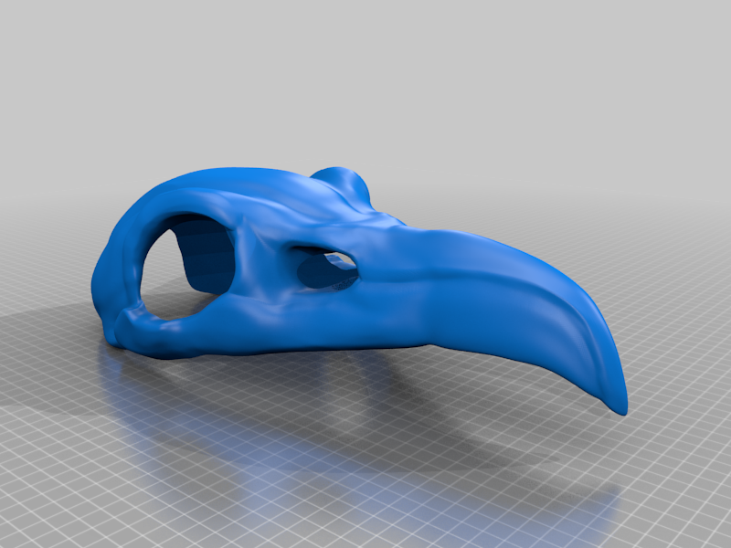 DragonAgeOrigins raven skull helmet