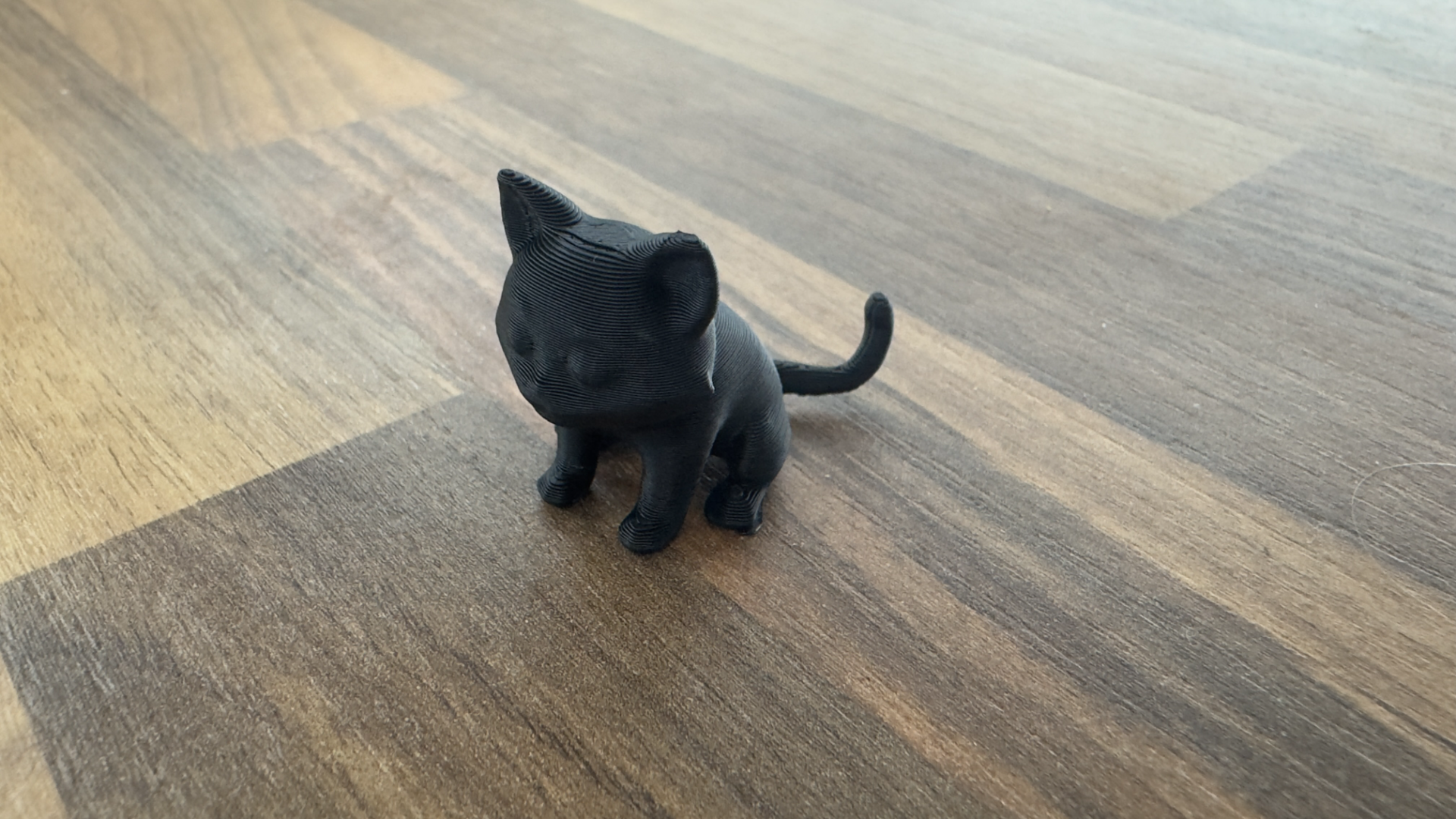Last filament cat
