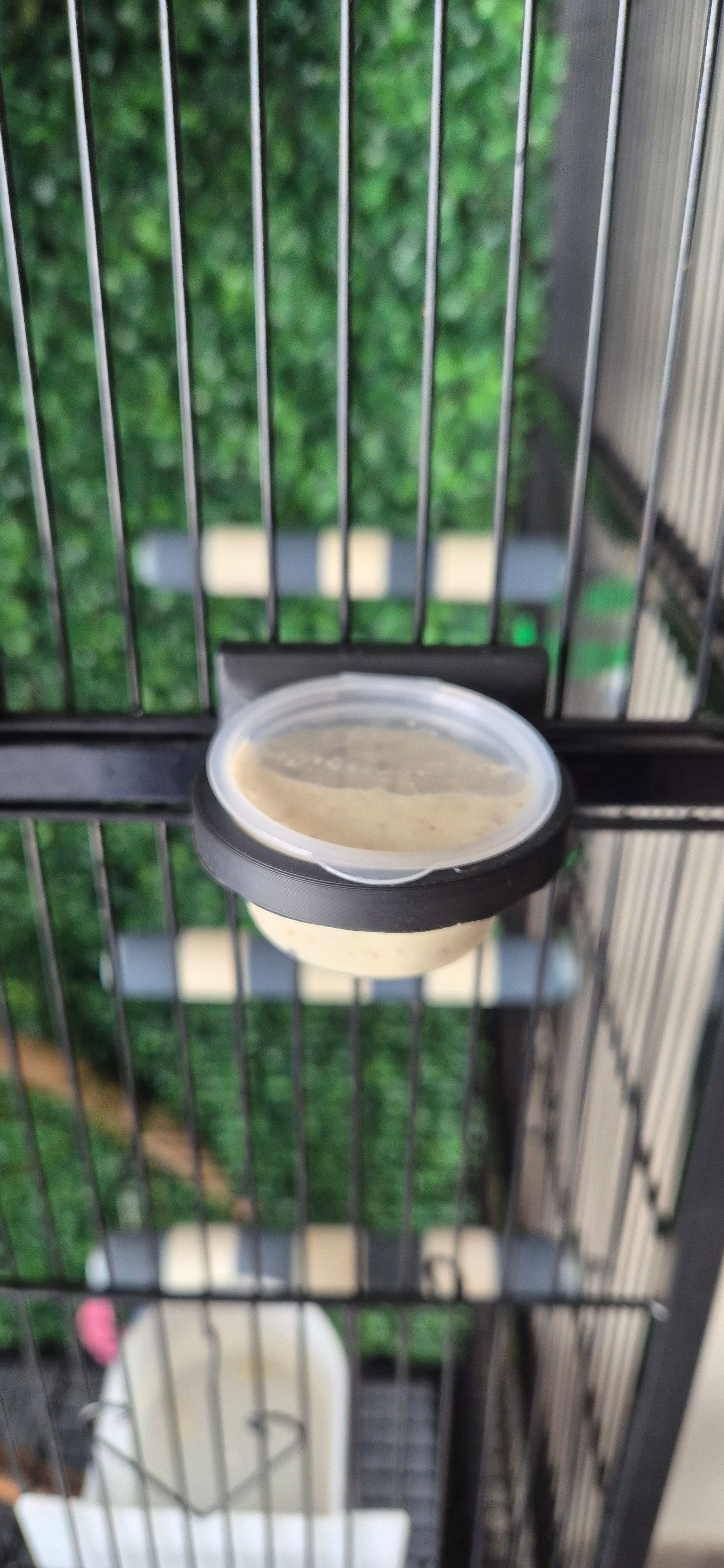 Adjustable Cage Food Bowl Holder – Sugar Glider