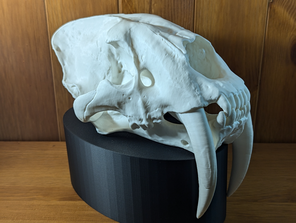 Simildon skull