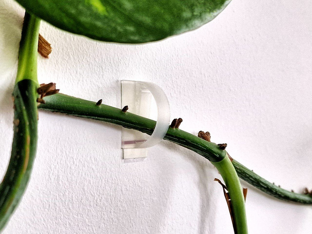 Plant Clip Wallmount |Powerstrips Doublesided Tape