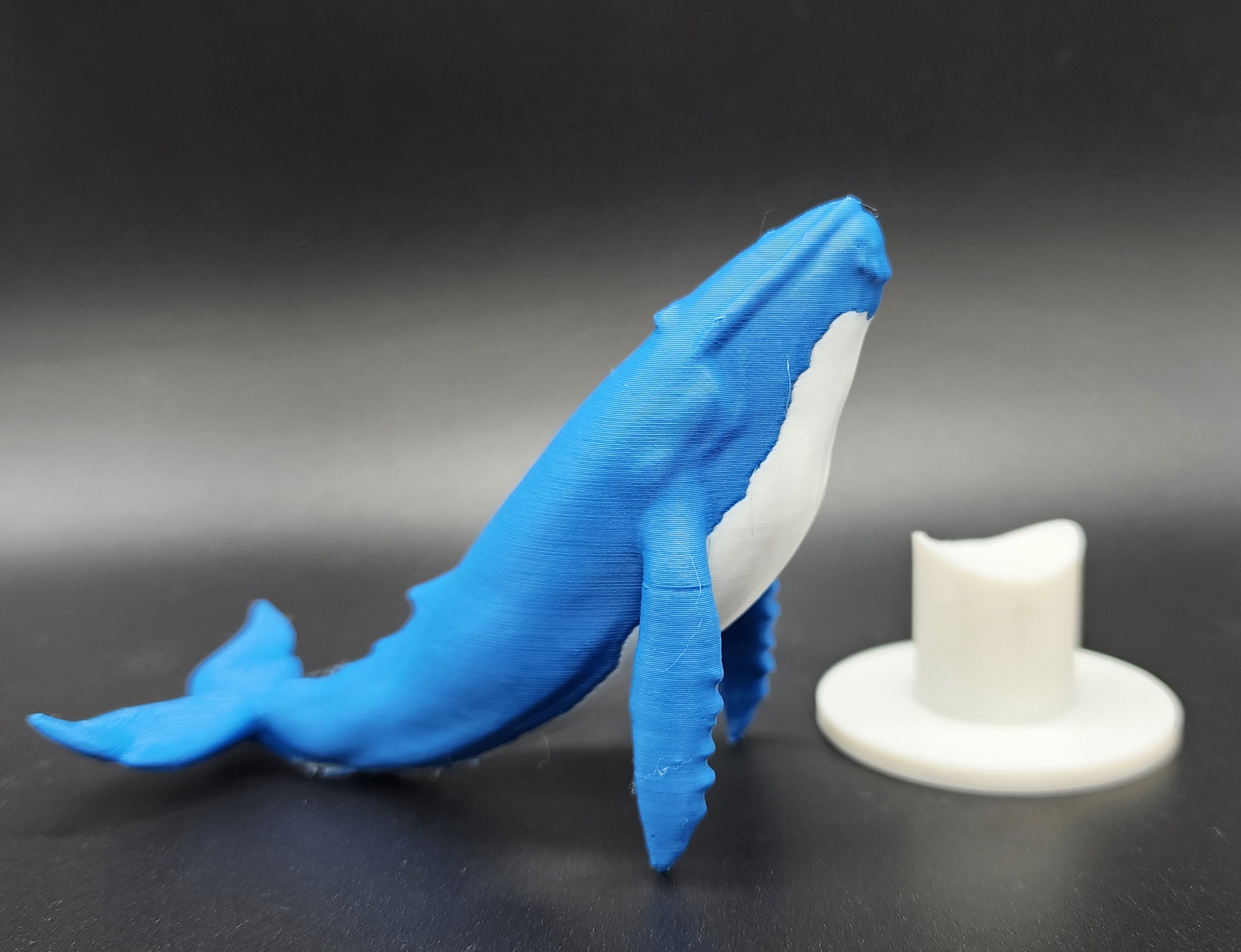 Blue Whale w/Stand AMS
