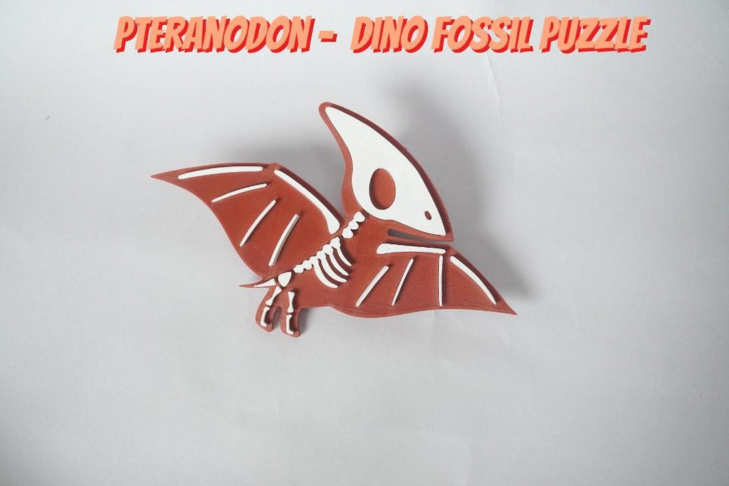 Pteranodon – Assemble-Your-Own Dino Fossil Puzzle