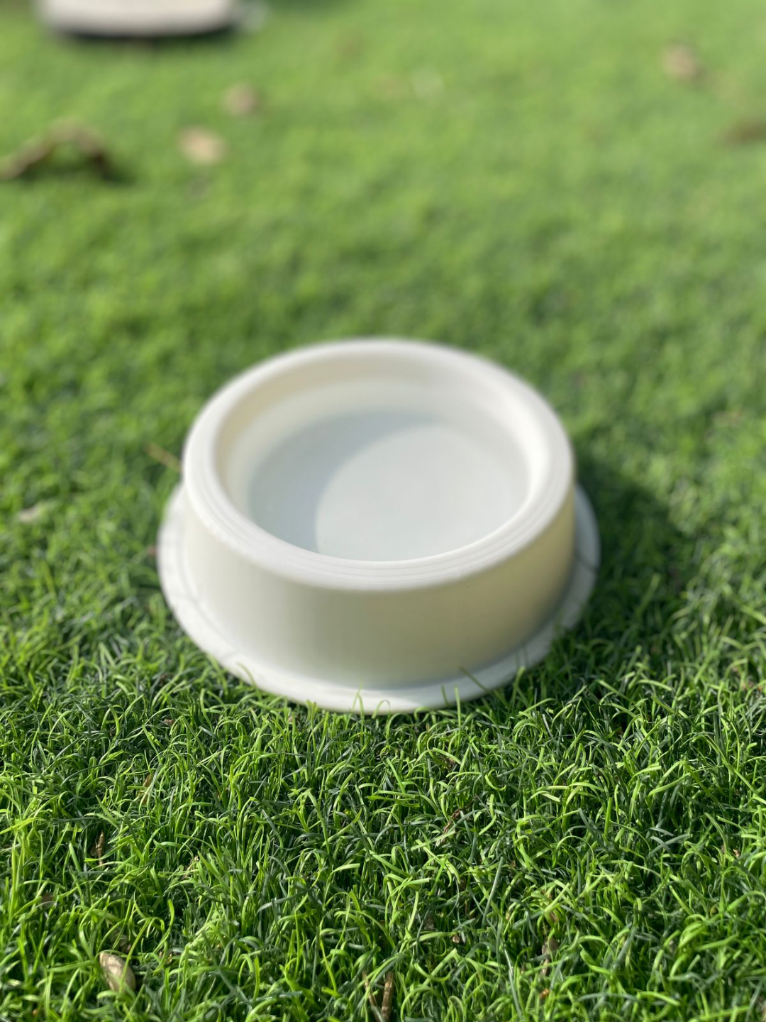 Pet Splash N' Snack Bowl