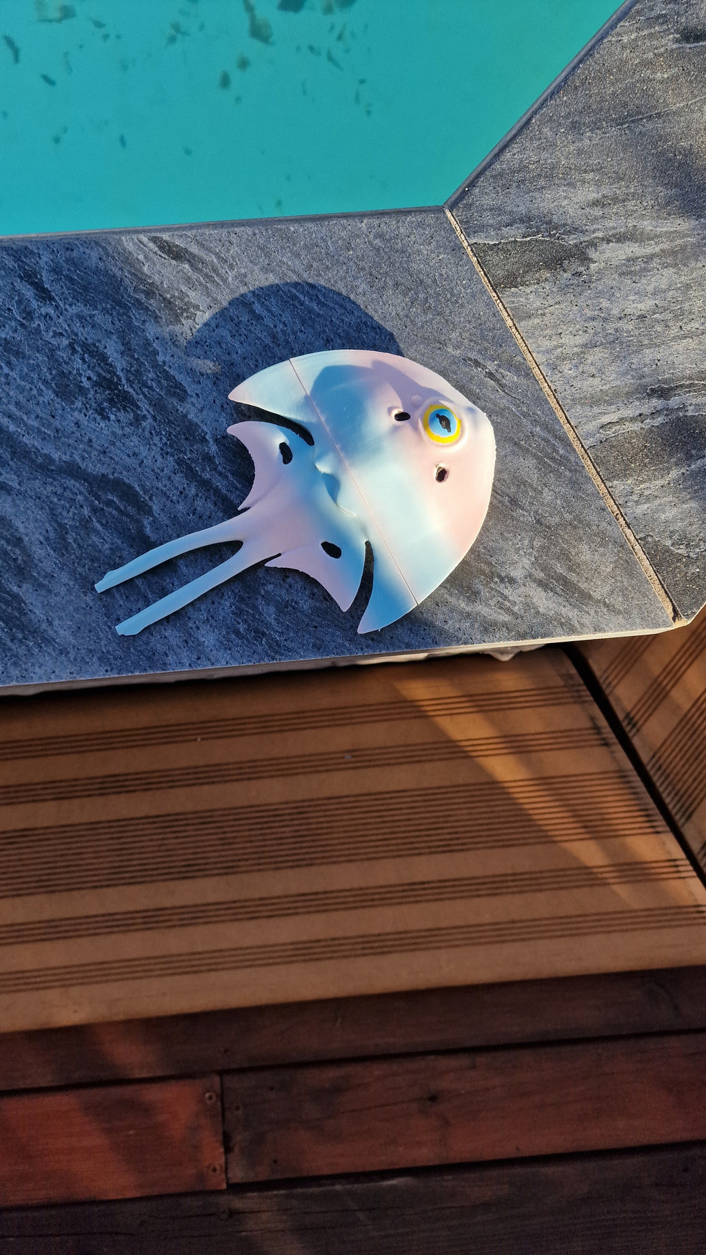 Subnautica 2 - Halfmoon Fish