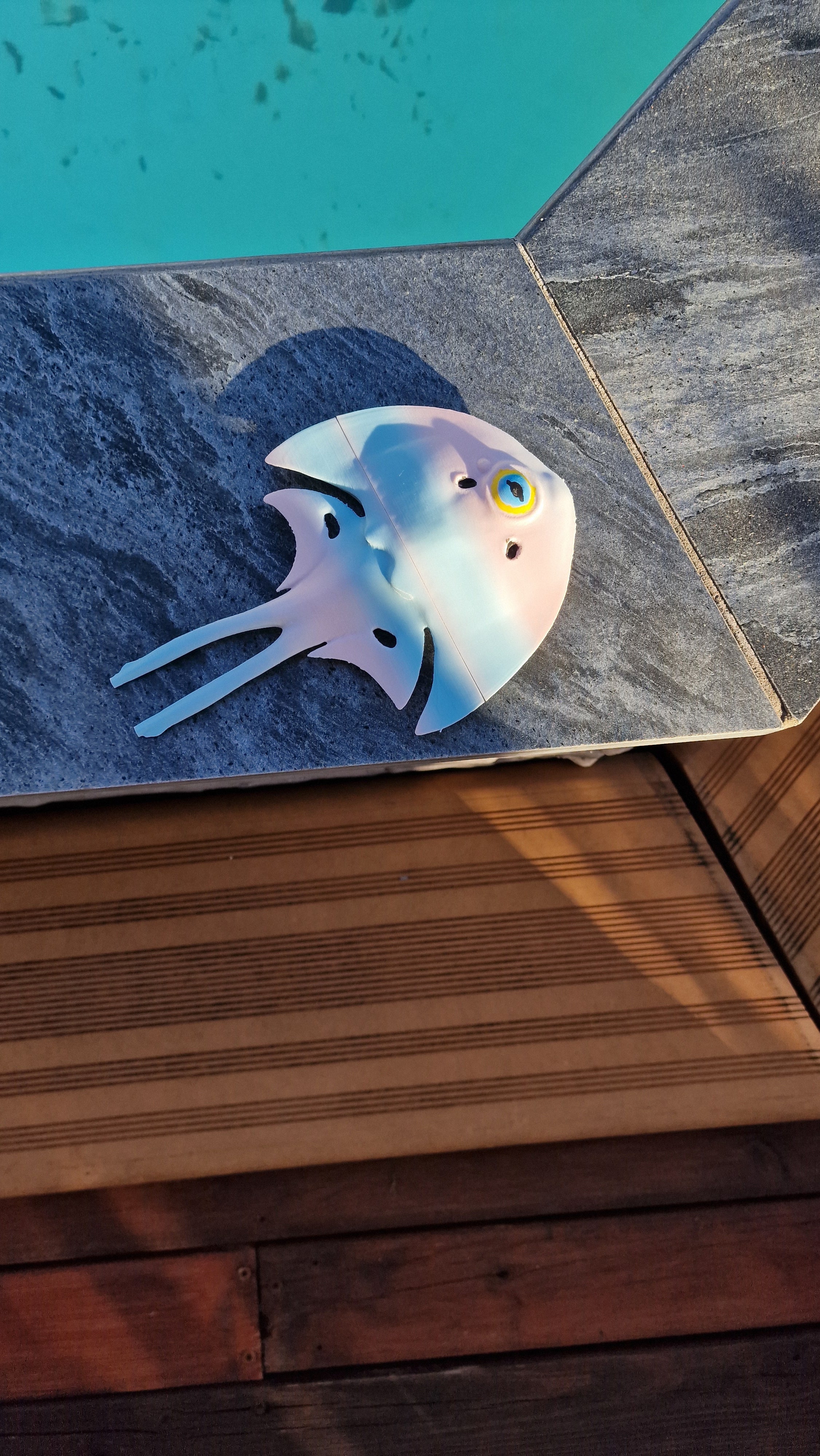 Subnautica 2 - Halfmoon Fish