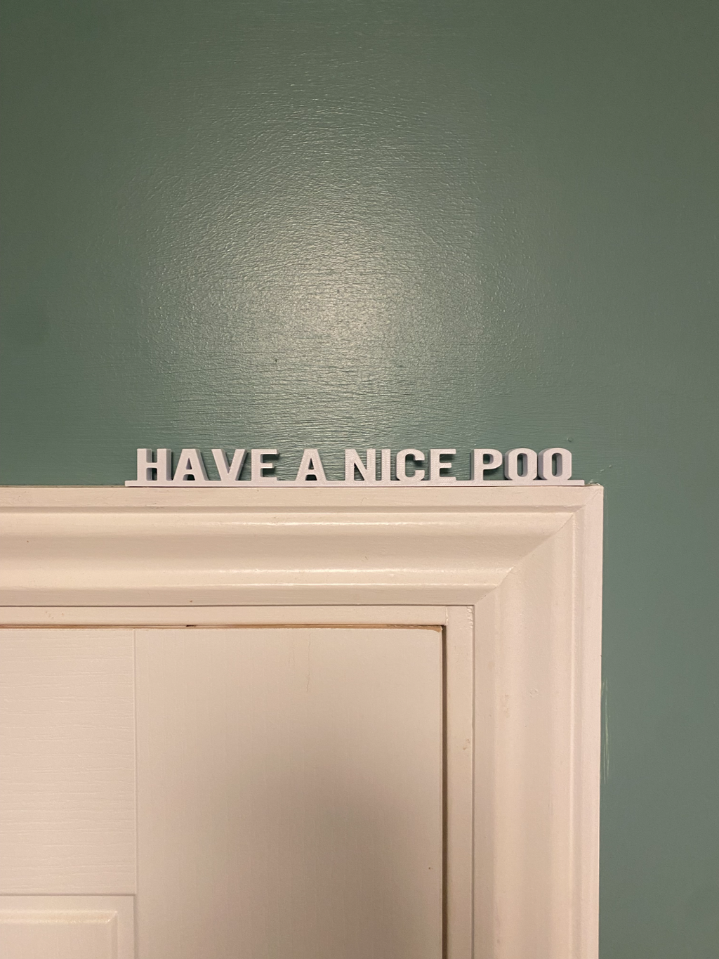 have a nice poo - door decoration