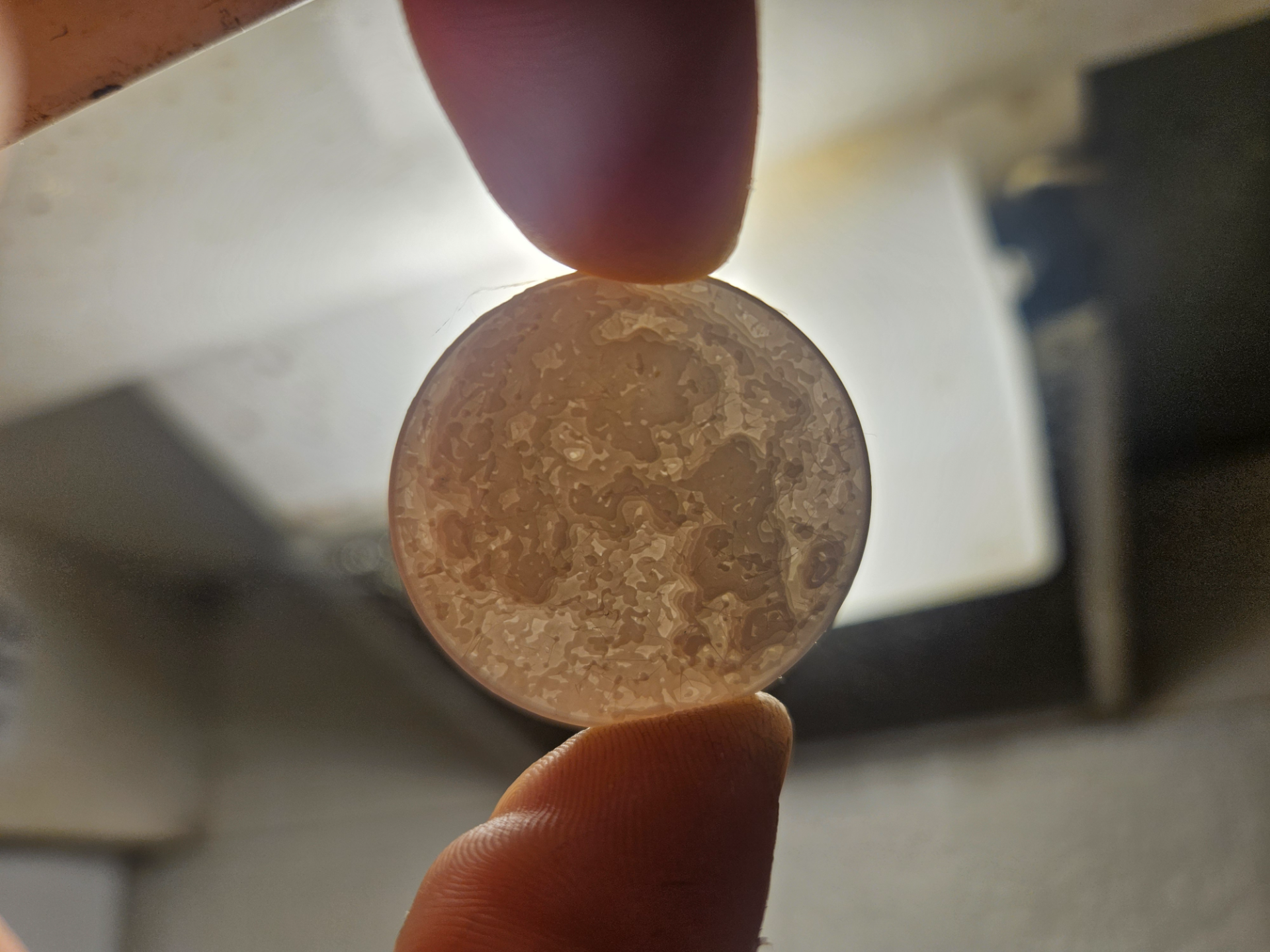 moon token