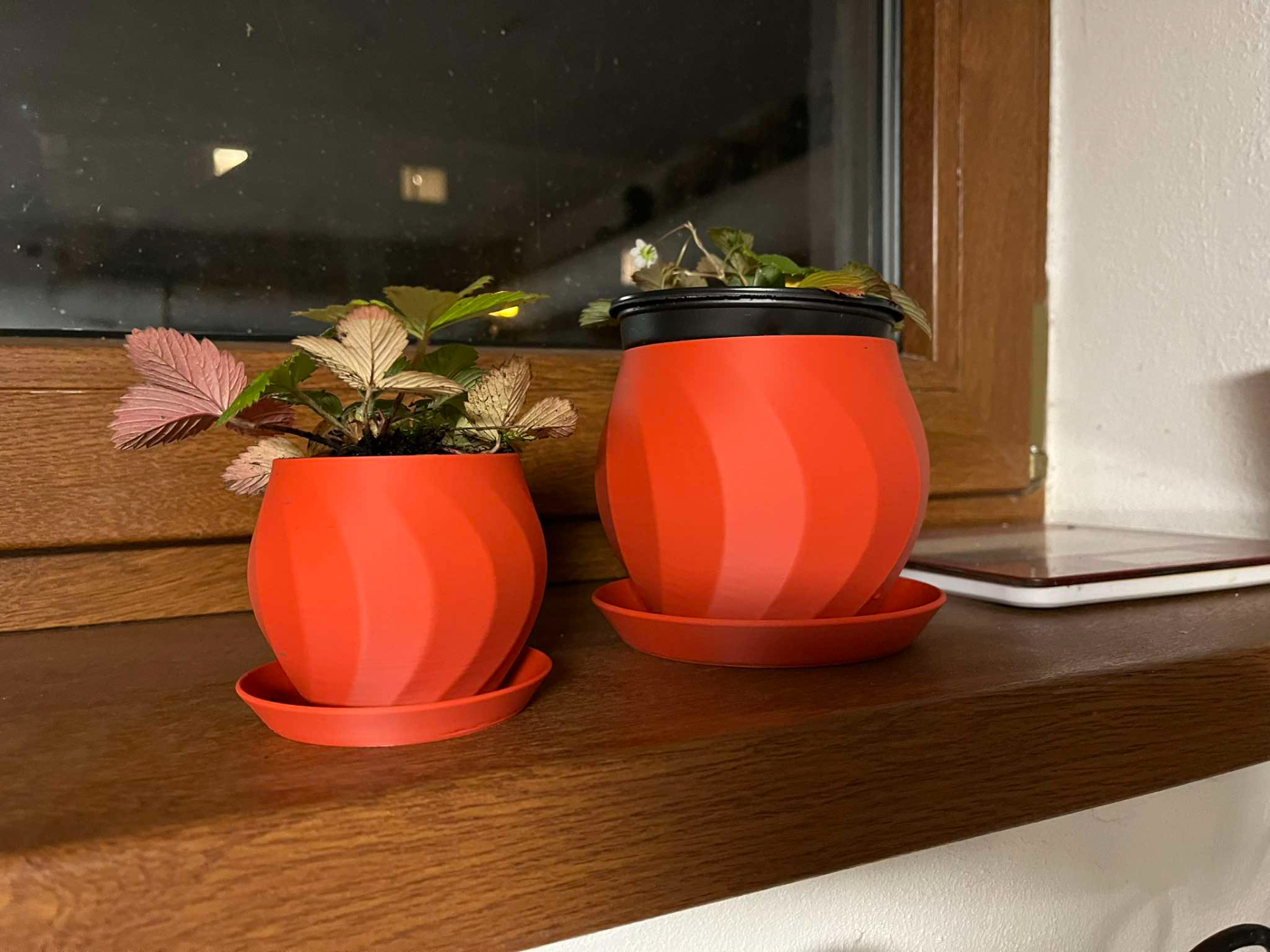 A flower pot with a tray for bouquets, bonsai