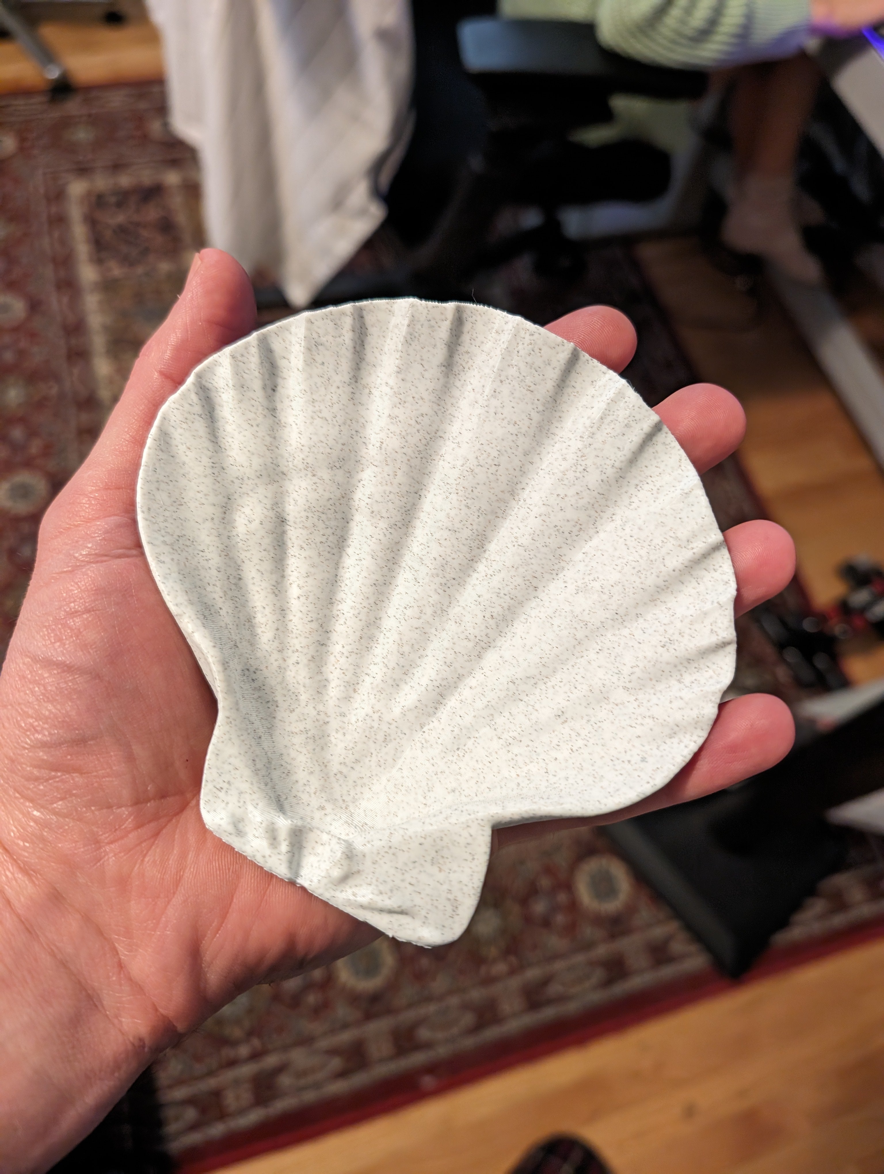 Lions Paw Scallop Seashell 3d Scan