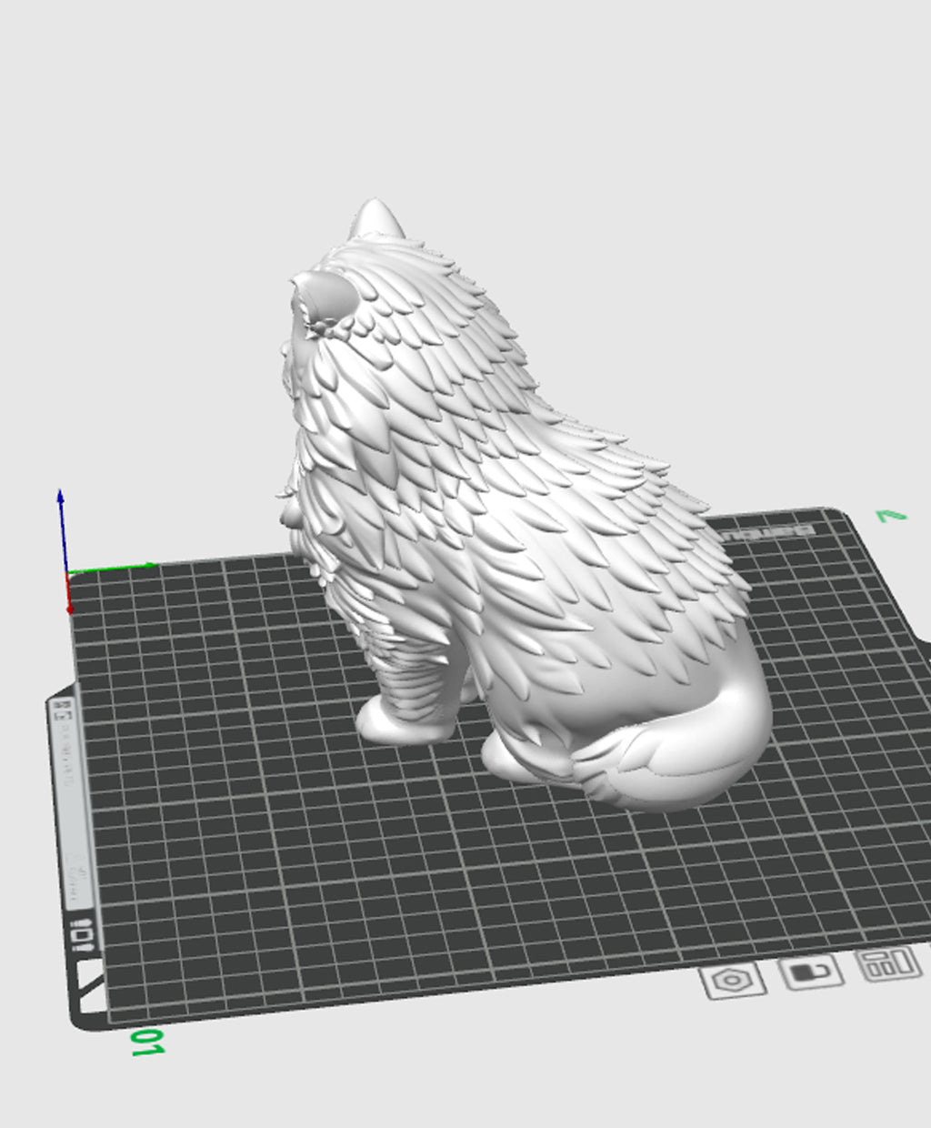 hairy cat