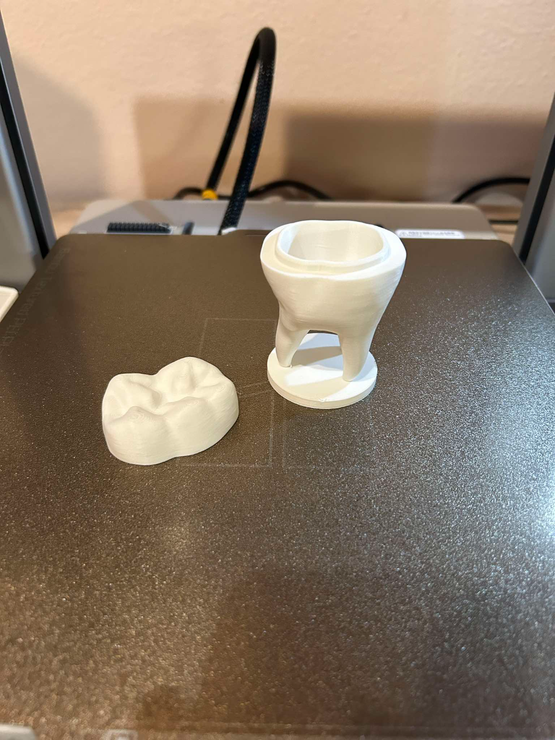 Toothbox, added supports, 0.2mm heigh