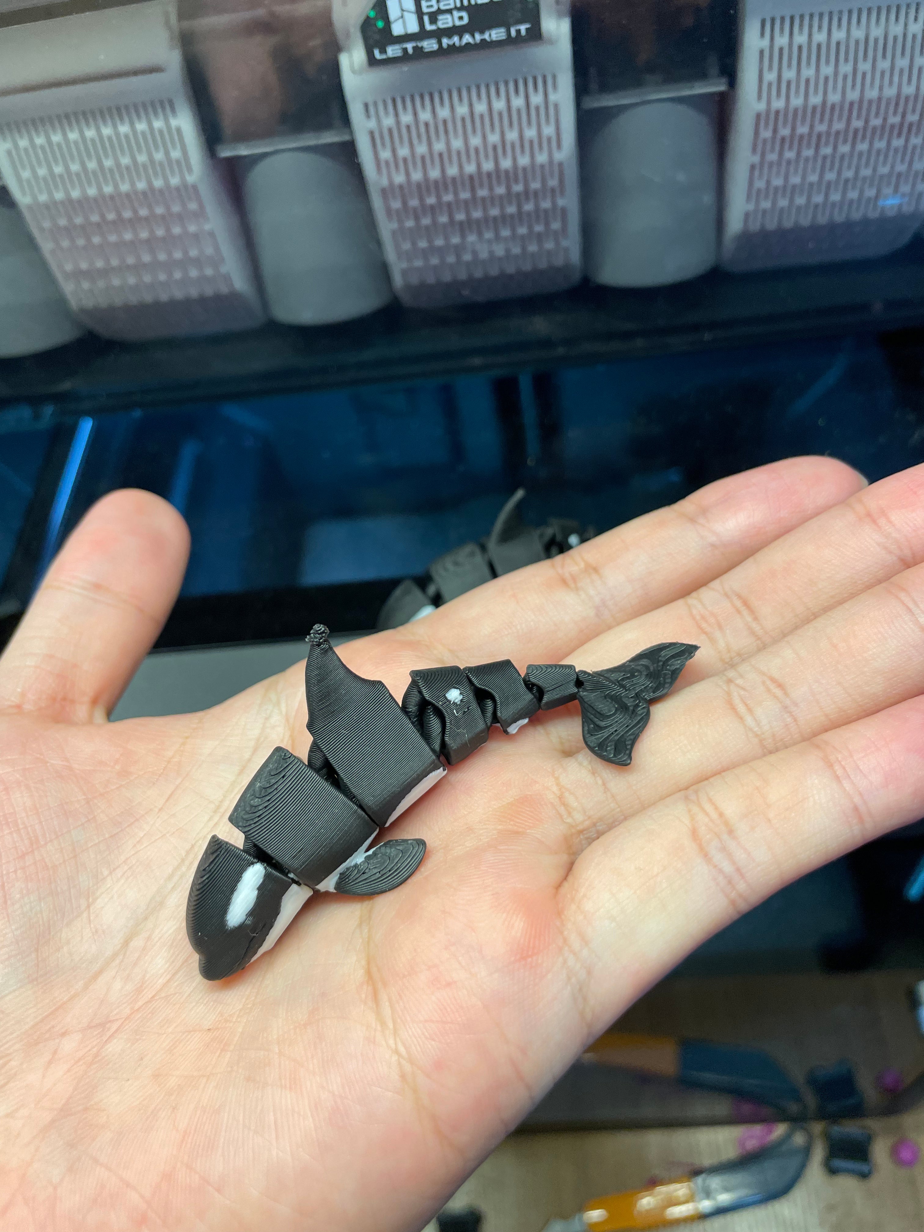 12g黑白虎鲸-双色打印-可商用
