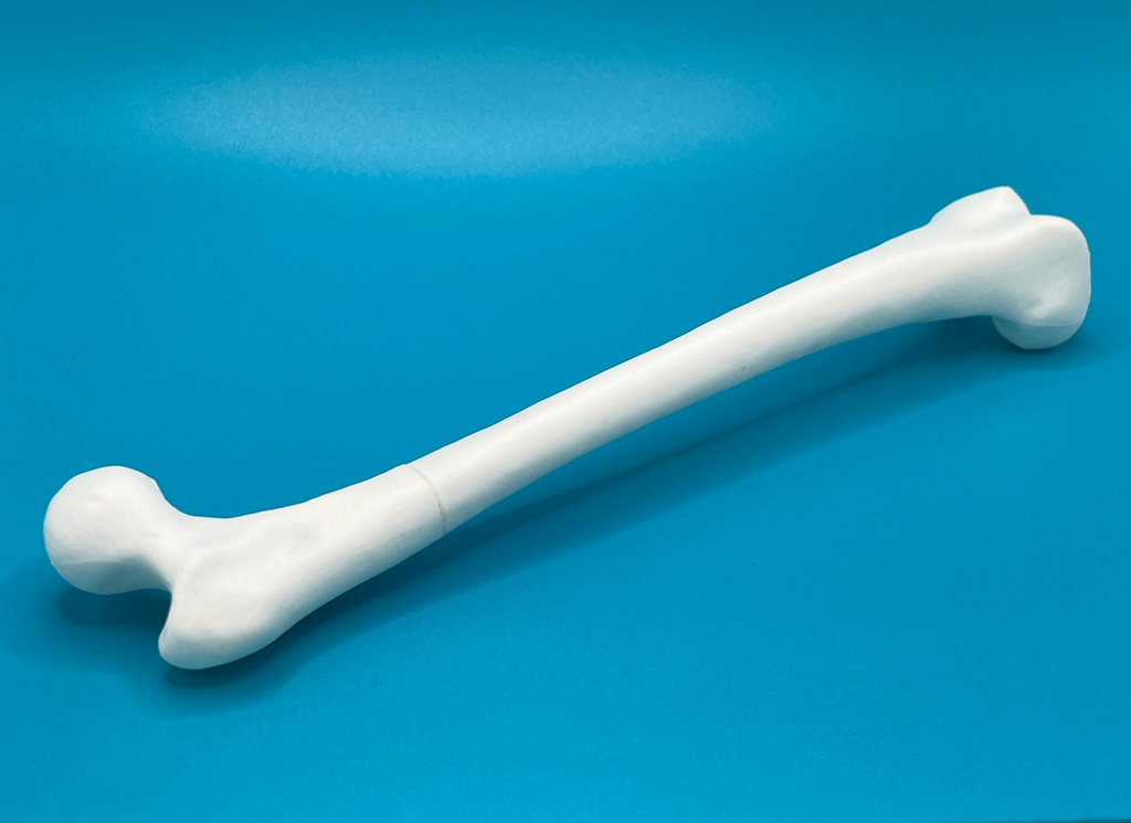 Femur (Thigh Bone) Pen