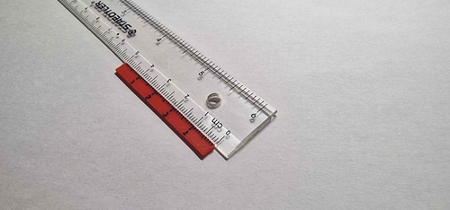 (Maker)Worlds Smallest Ruler