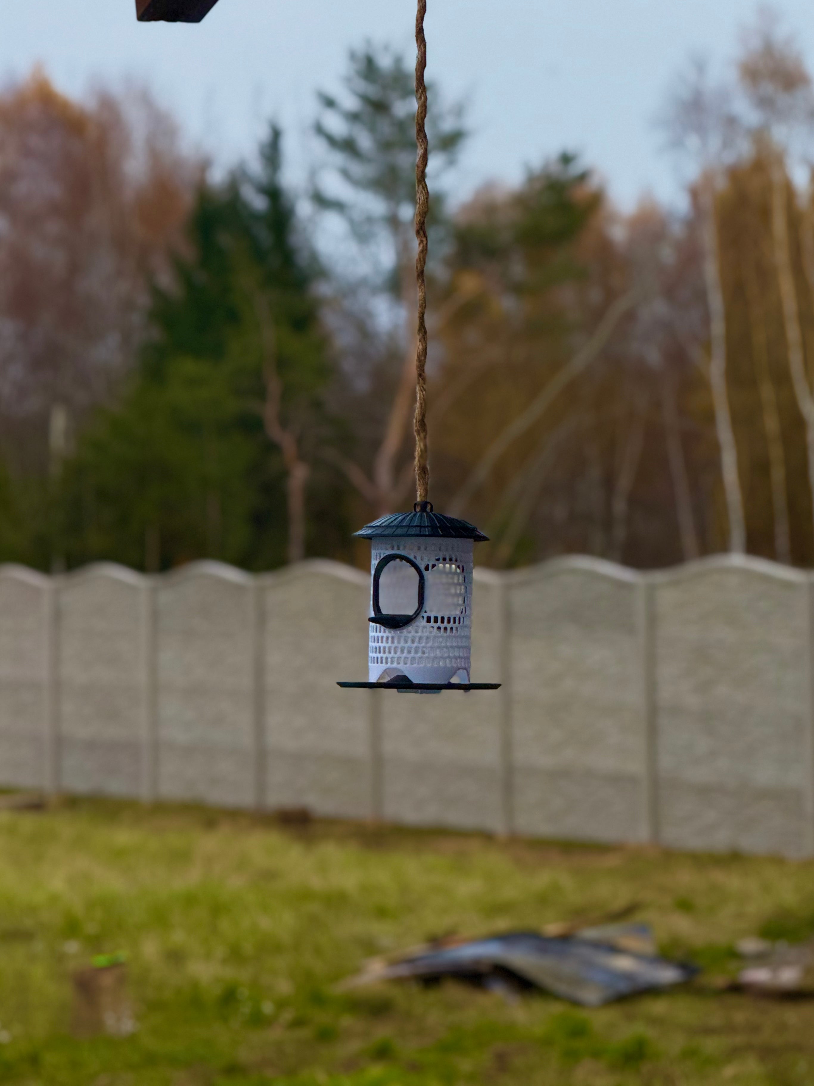 Modern bird feeder