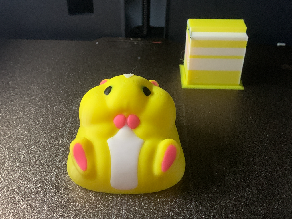 Cute Chubby Hamster