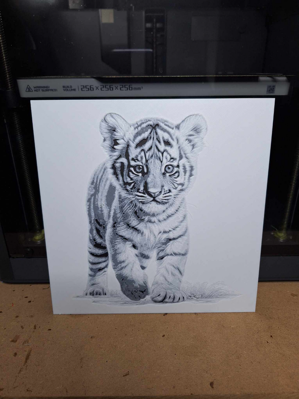 Black and white - Tiger cub - 2 colours - hueforge