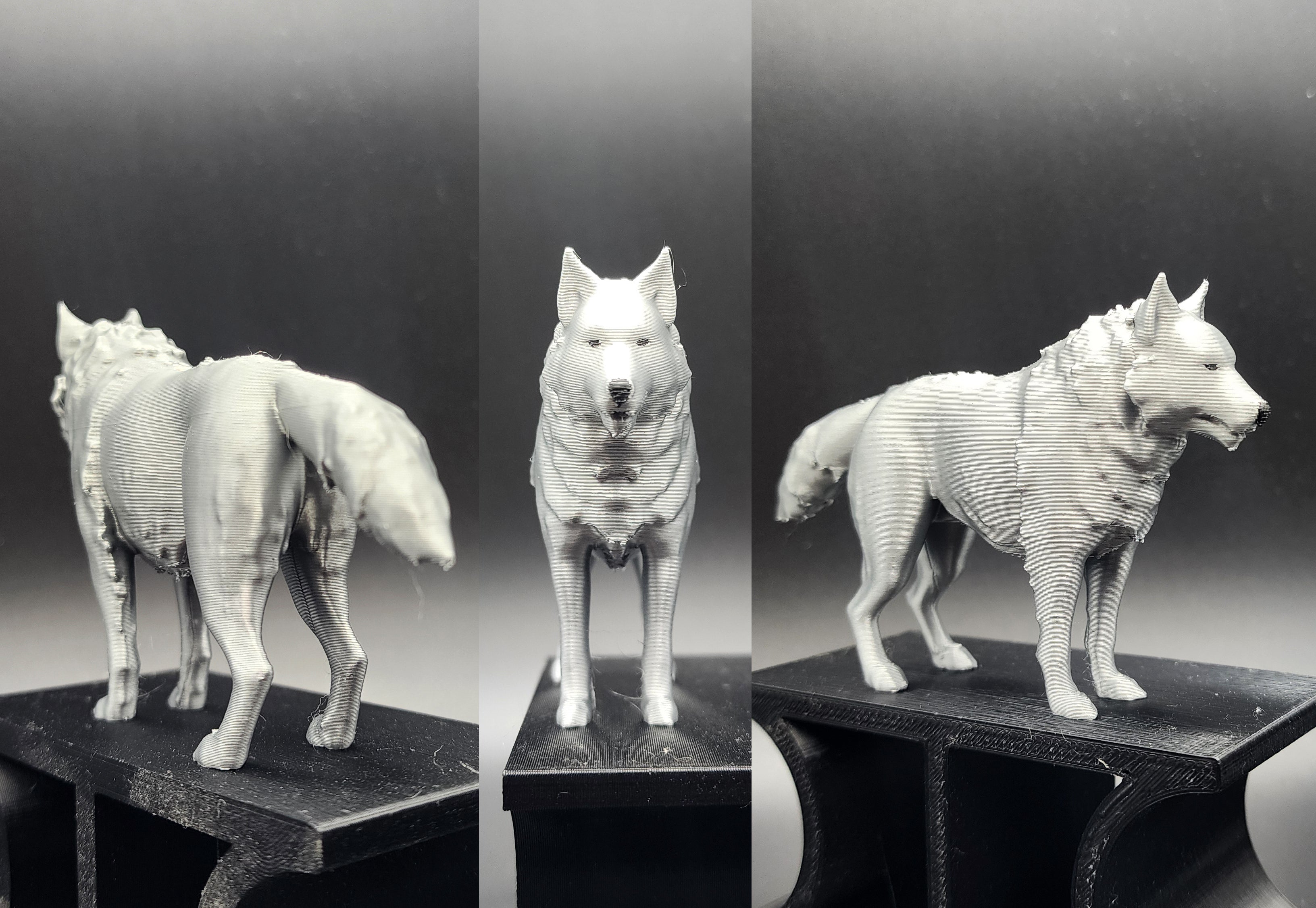Timberwolf single or 2-color AMS
