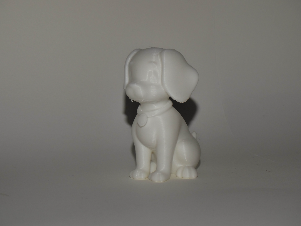 Cute small Dog
