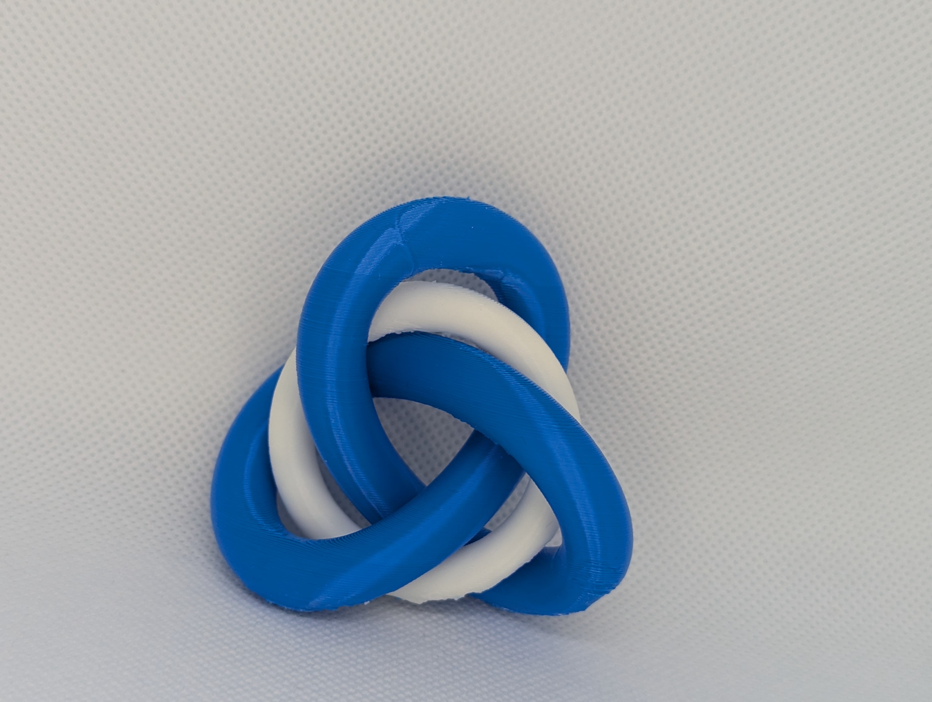 Trefoil Knot with Torus