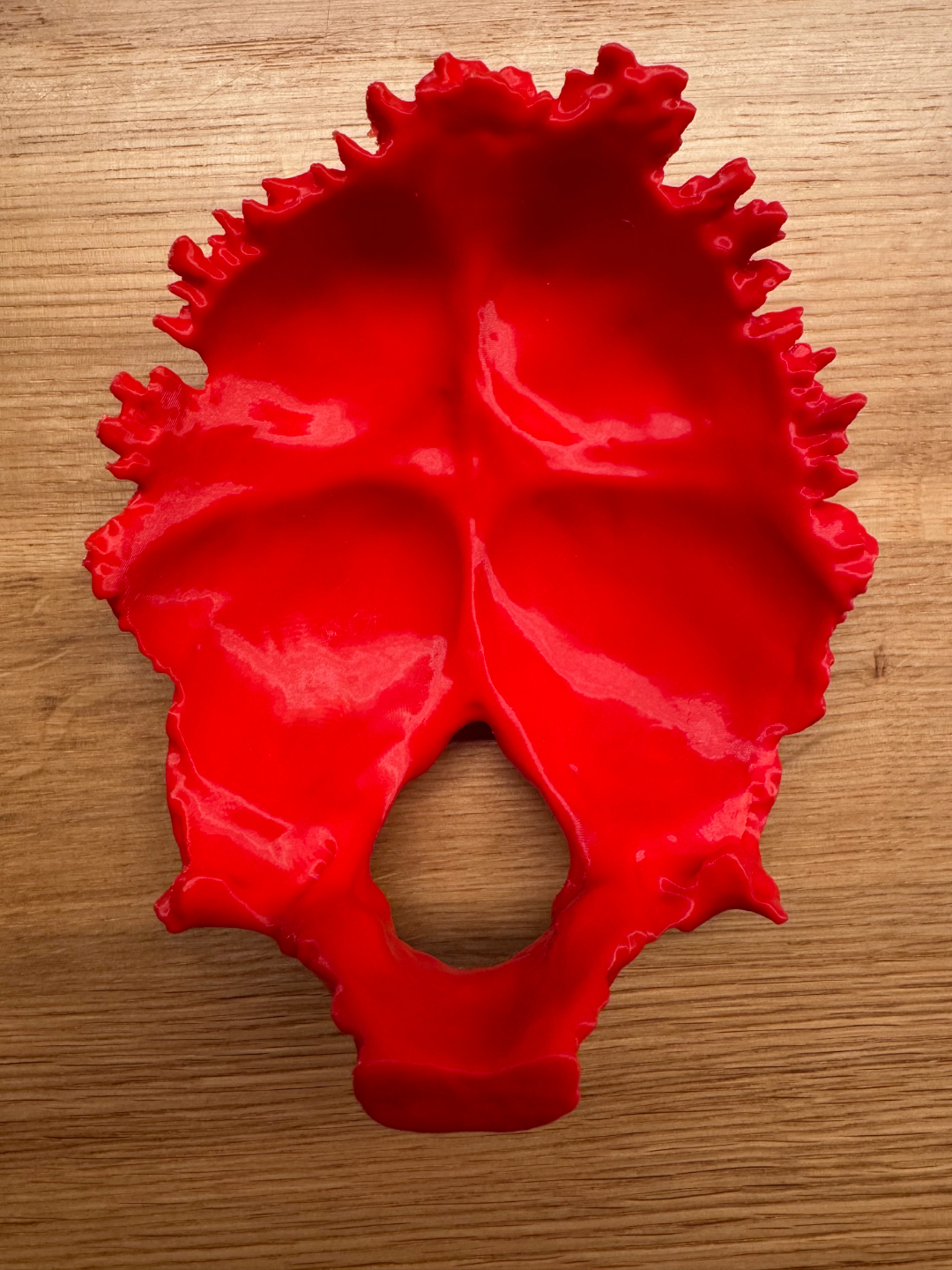 Human Occipital Bone