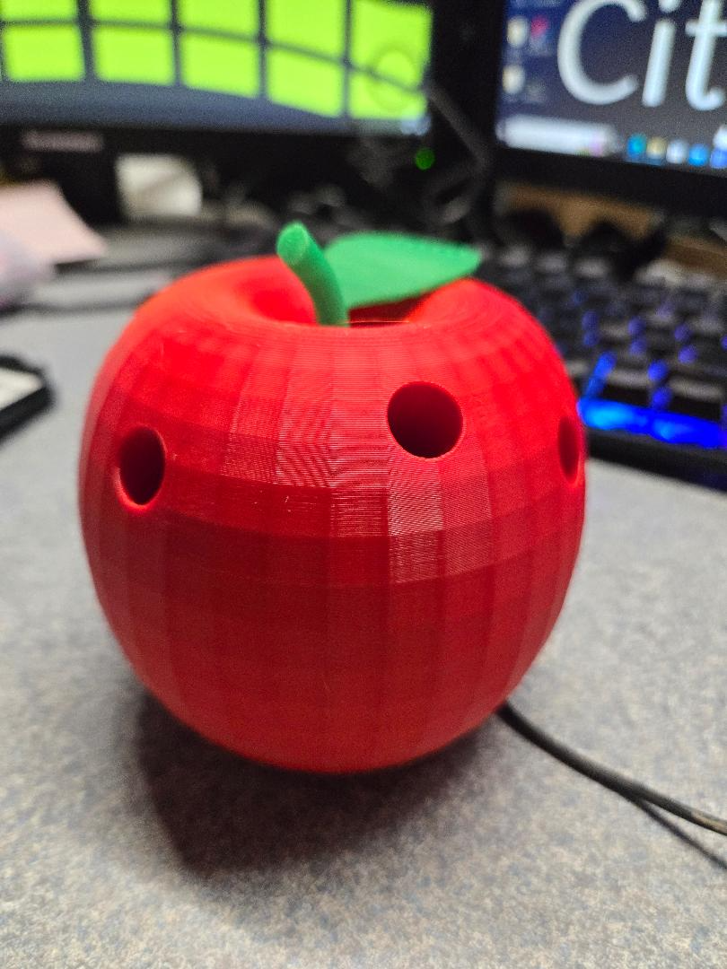 Apple Pencil Organizer