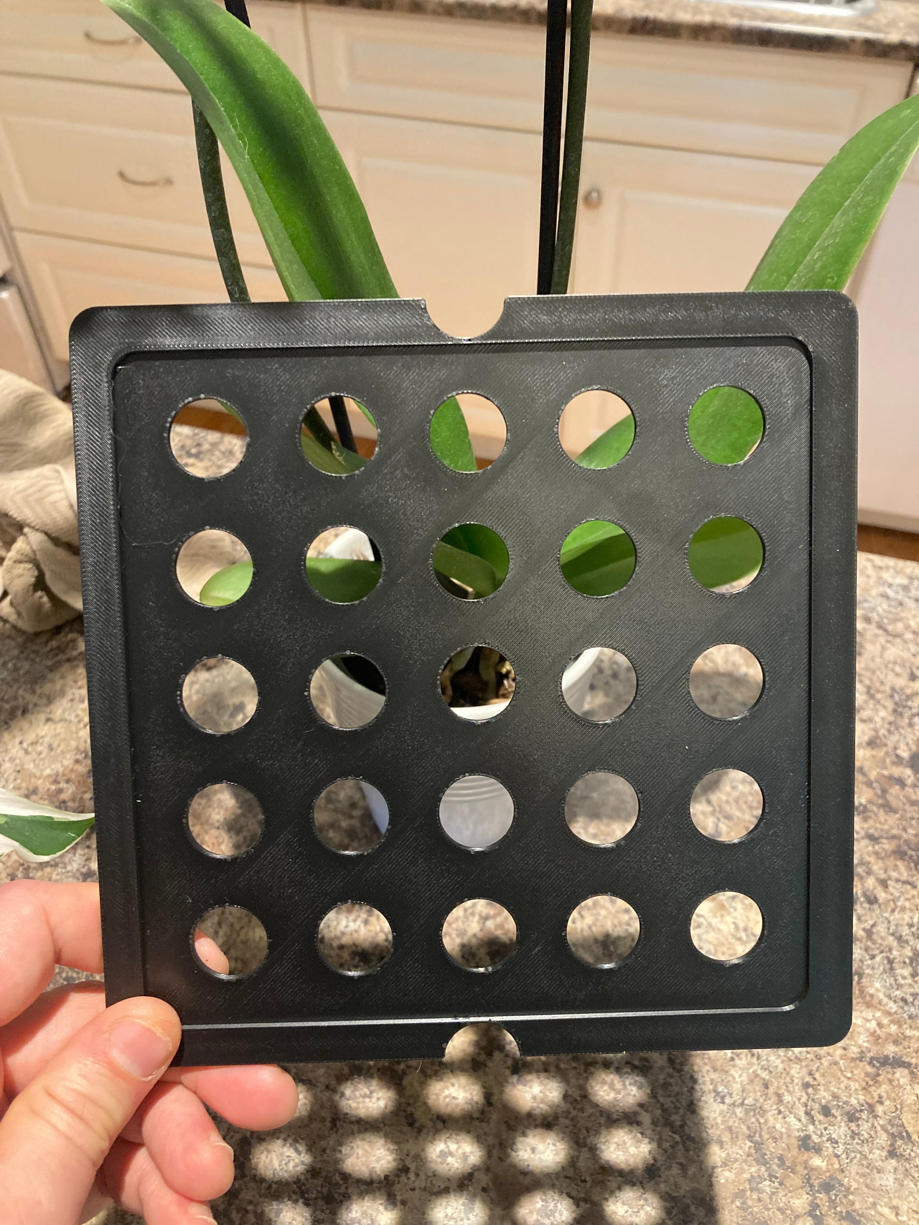 Hanging Planter Root Mount